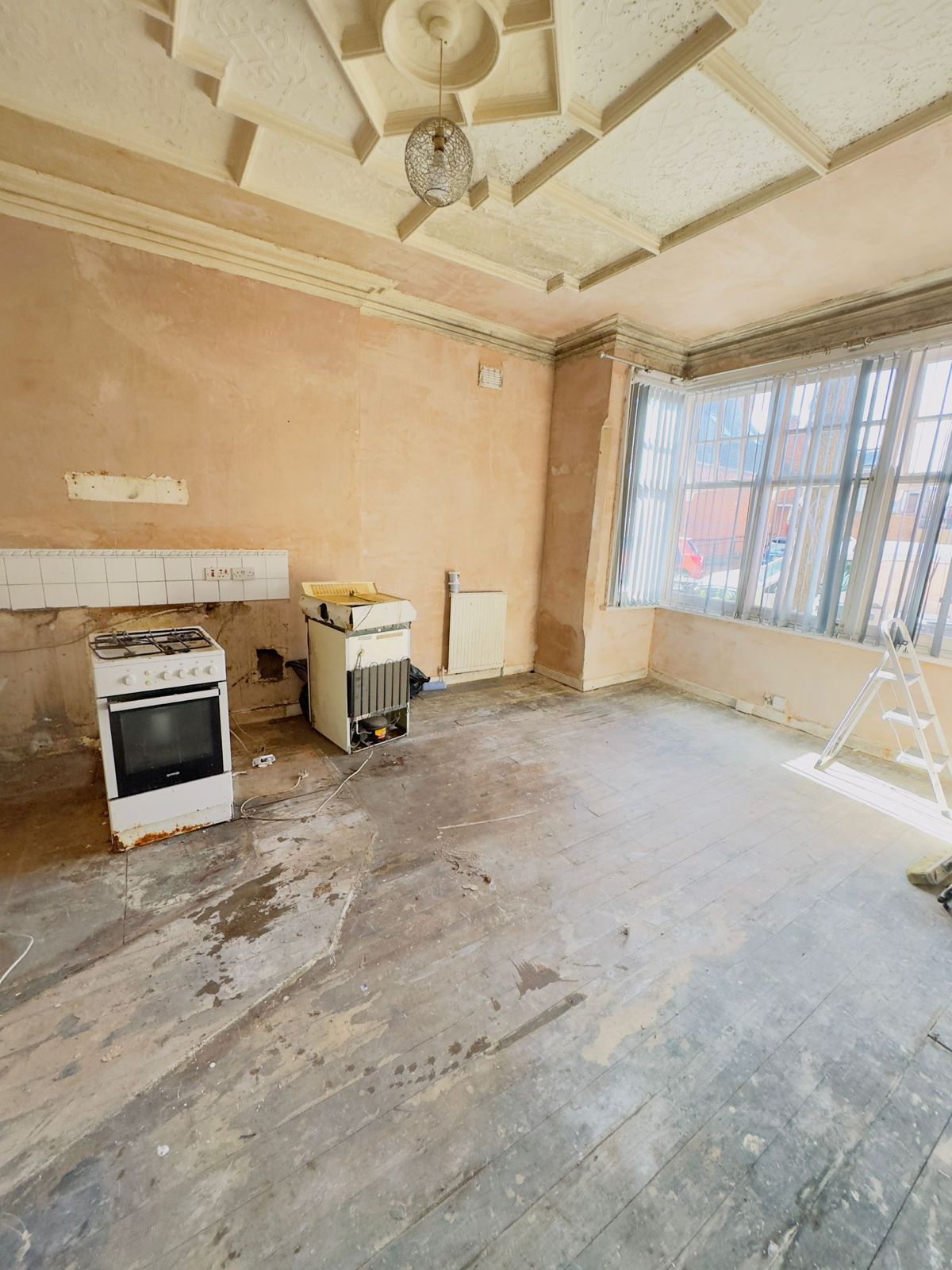 WhatsApp Image 2026-01-31 at 11.47.04 PM